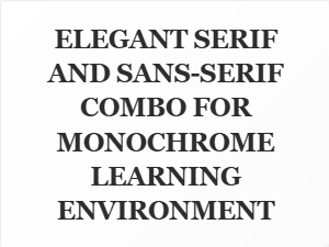 Elegant Serif and Sans-Serif Pairing for Minimalist Monochrome Learning